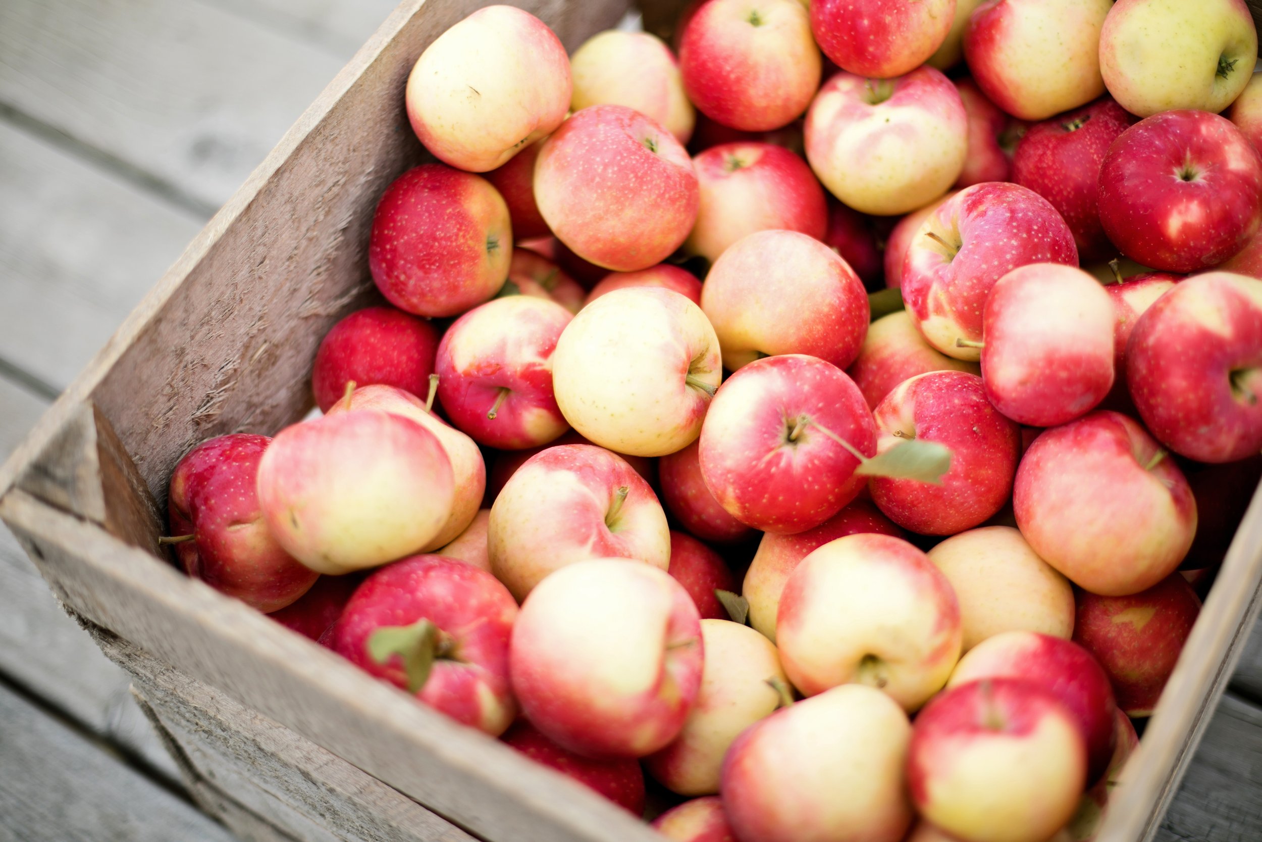 Apple Jack Orchards